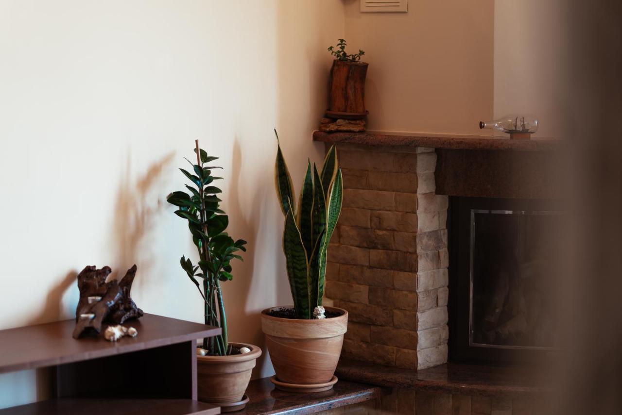 Cozy Place Near Historic Center 塞萨洛尼基 外观 照片